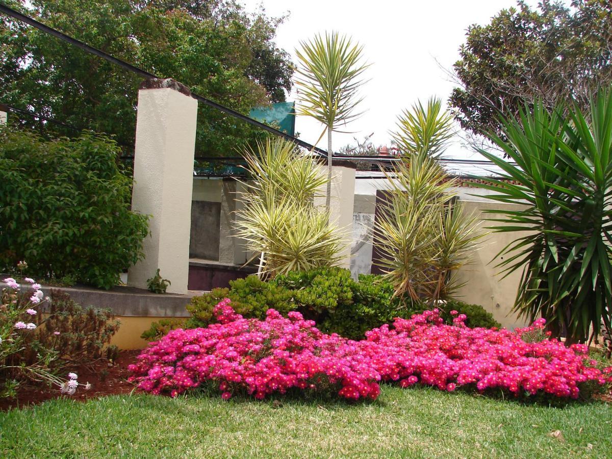 Private Pool Apt. With Great View Funchal  Bagian luar foto