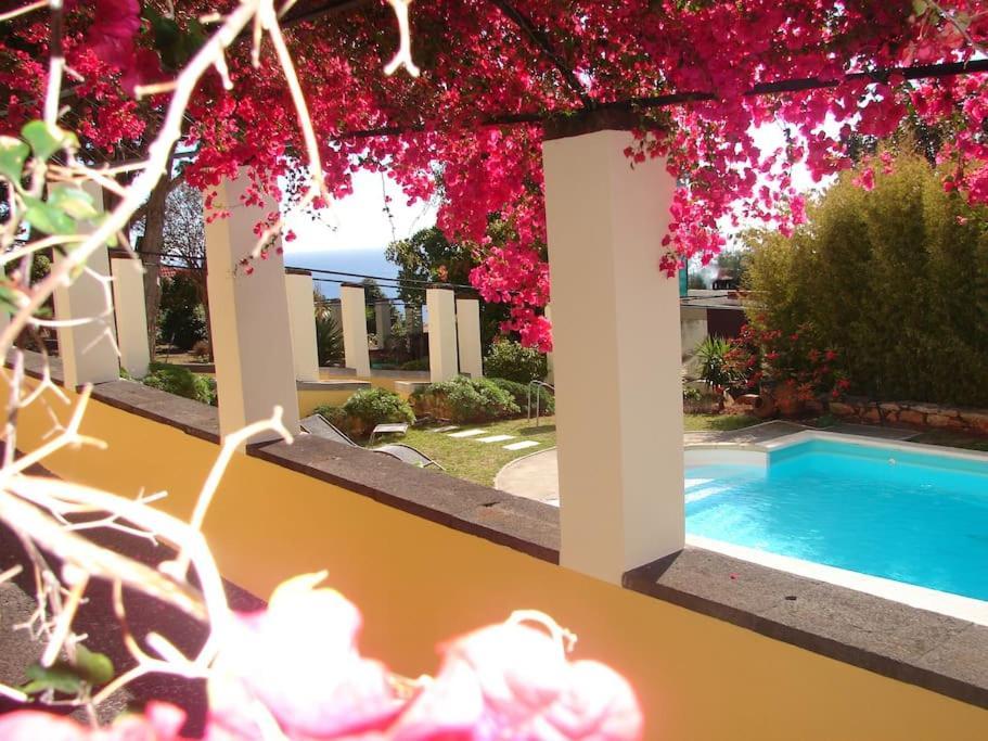 Private Pool Apt. With Great View Funchal  Bagian luar foto