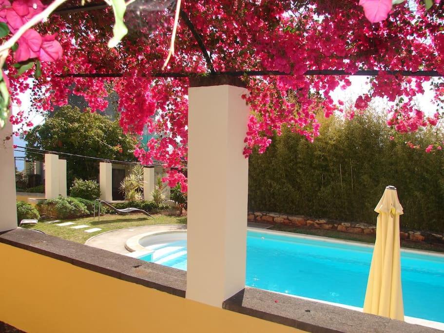 Private Pool Apt. With Great View Funchal  Bagian luar foto
