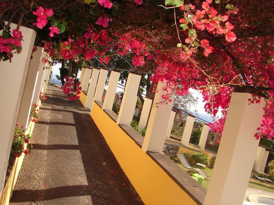 Private Pool Apt. With Great View Funchal  Bagian luar foto