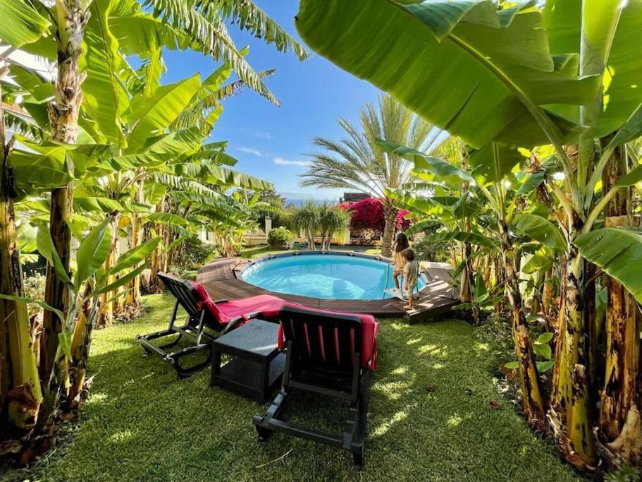 Private Pool Apt. With Great View Funchal  Bagian luar foto